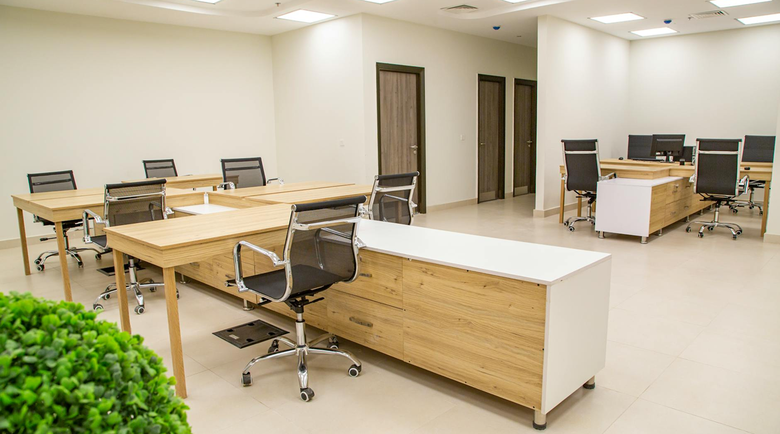 Shared Office Space